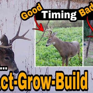 #1 Time To Attract Deer
