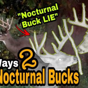 3 Ways To Hunt Nocturnal Bucks