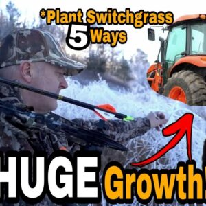 5 Switchgrass Planting Methods