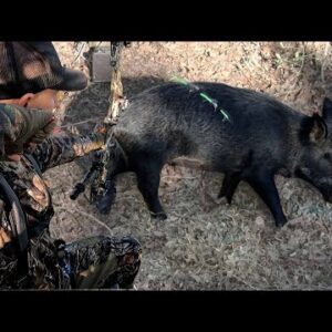 Bacon Quest '22 | Texas Hog Hunting