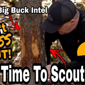 How To Scout Mature Bucks RIGHT NOW