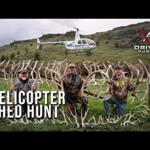 Using a Helicopter to Shed Hunt? Big Elk and Muley Sheds in Oregon!