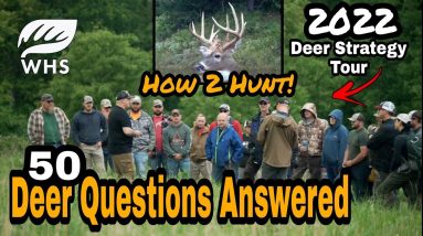50 Advanced Deer Hunting And Habitat Questions Answered