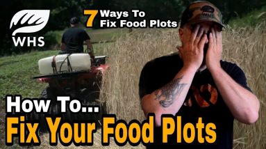 7 Ways To Fix Your Food Plots