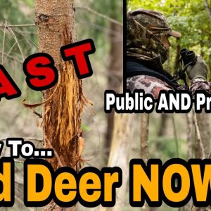 Fastest Way To Change Your Deer Hunt