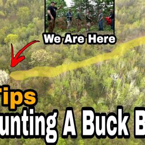 How To Hunt A Bedding Area