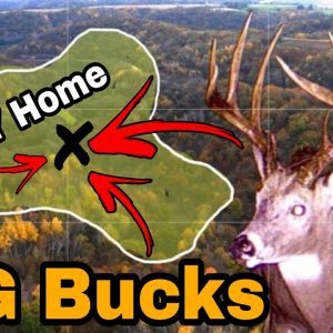 How To SHRINK a Buck's Home Range