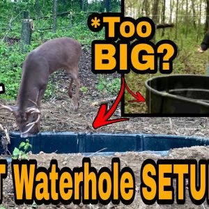 New HUGE Deer Waterhole Setup