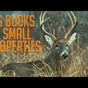 Big Bucks on Small Properties