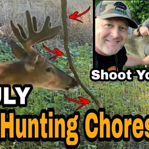 July Deer Hunting Chores