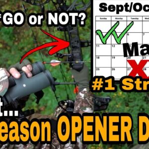 Best Bow Season Opening Day Strategy