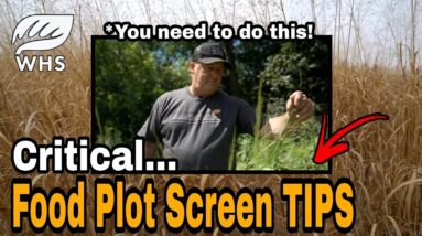 How To Screen Screen Your Food Plots