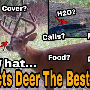#1 Deer Hunting Season Attraction