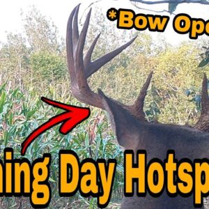 Where to Sit On Opening Day Of Bowseason
