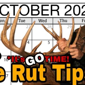 5 Proven Pre Rut Buck Hunting Tips