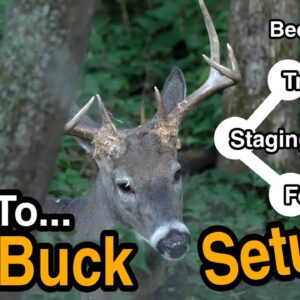 The Perfect Evening Buck Bowhunting Setup