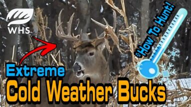 Extreme Cold Weather Deer Hunting Tips