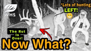 The Annual Whitetail Rut Is Over