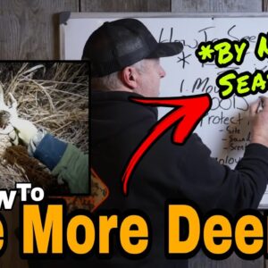 How To See More Deer FAST