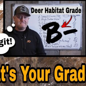 How To Grade Your Deer Habitat