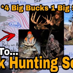 How to Build A Buck Movement Hunting Setup