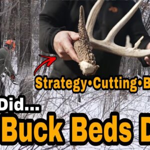 Buck Bed Checkup And Bed Count