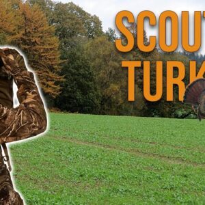 The Best Way Find Great Turkey Hunting Before the Season Starts!