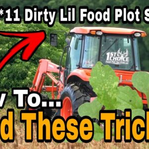 11 Dirty Food Plot Seed Industry Secrets