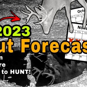 2023 Whitetail Rut Forecast
