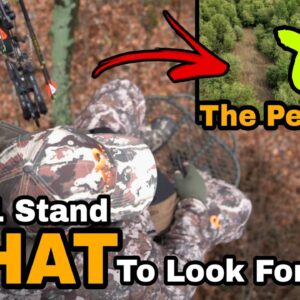 How To Find The Perfect Treestand Location