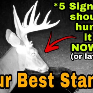 5 Signs You Should Hunt Your Best Stand