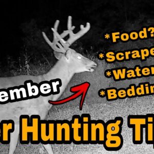 September Deer Hunting Tip