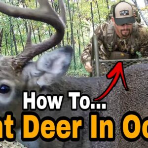 How To Hunt Deer In October