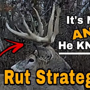 3 Ways To Hunt The 2nd Rut RIGHT NOW!