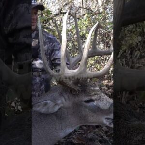 5 Reasons Your Deer Season Sucked! Did we forget any? #archery #bowhunting #bowhuntordie #hunting