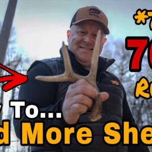 The 70% Shed Hunting Rule